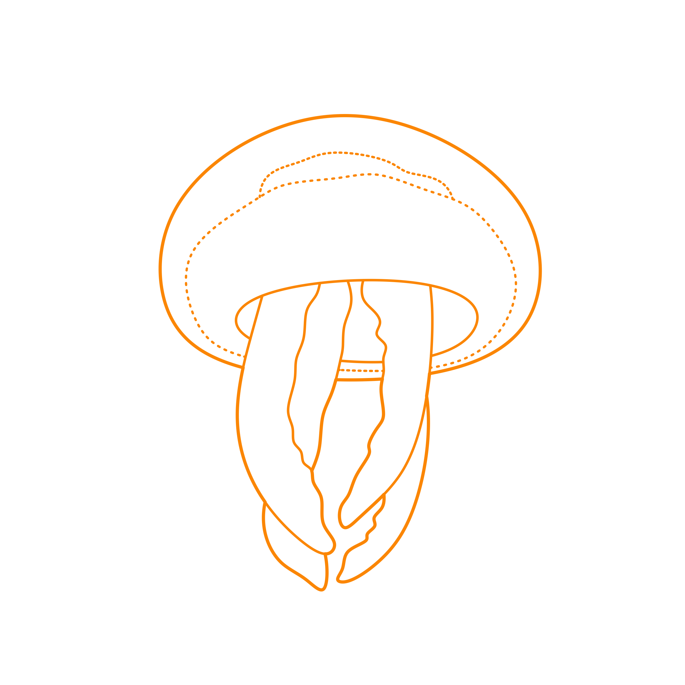 Animals Jellyfish Moon Jellyfish Outline Icon Svg Set Free Vectors